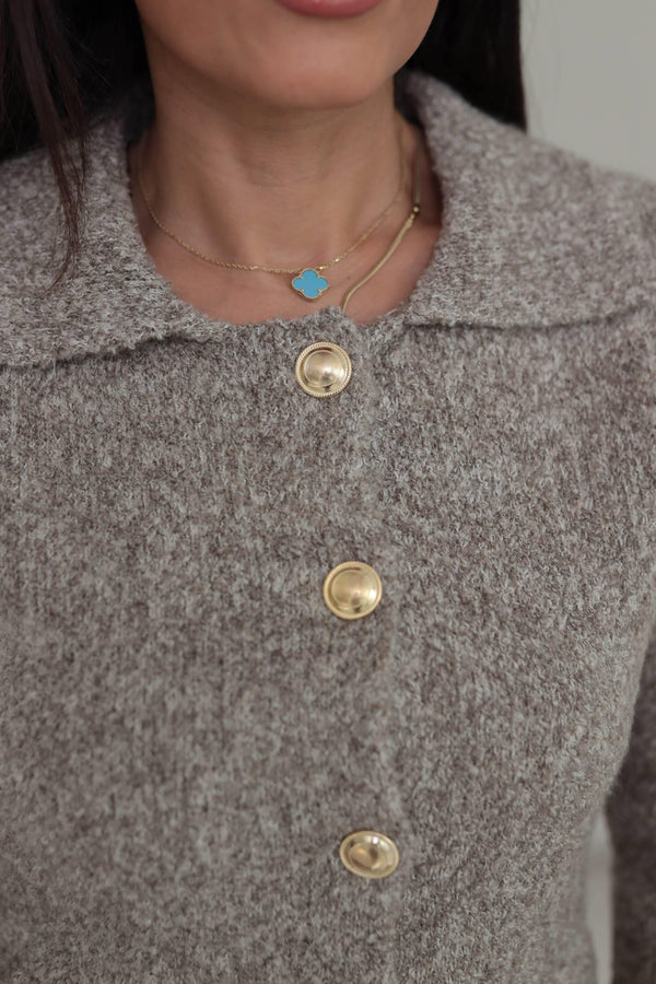 كارديغان قبة بولو