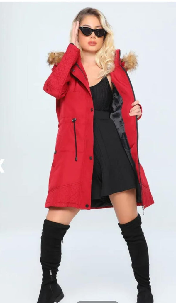 جكيت مبطن خمري